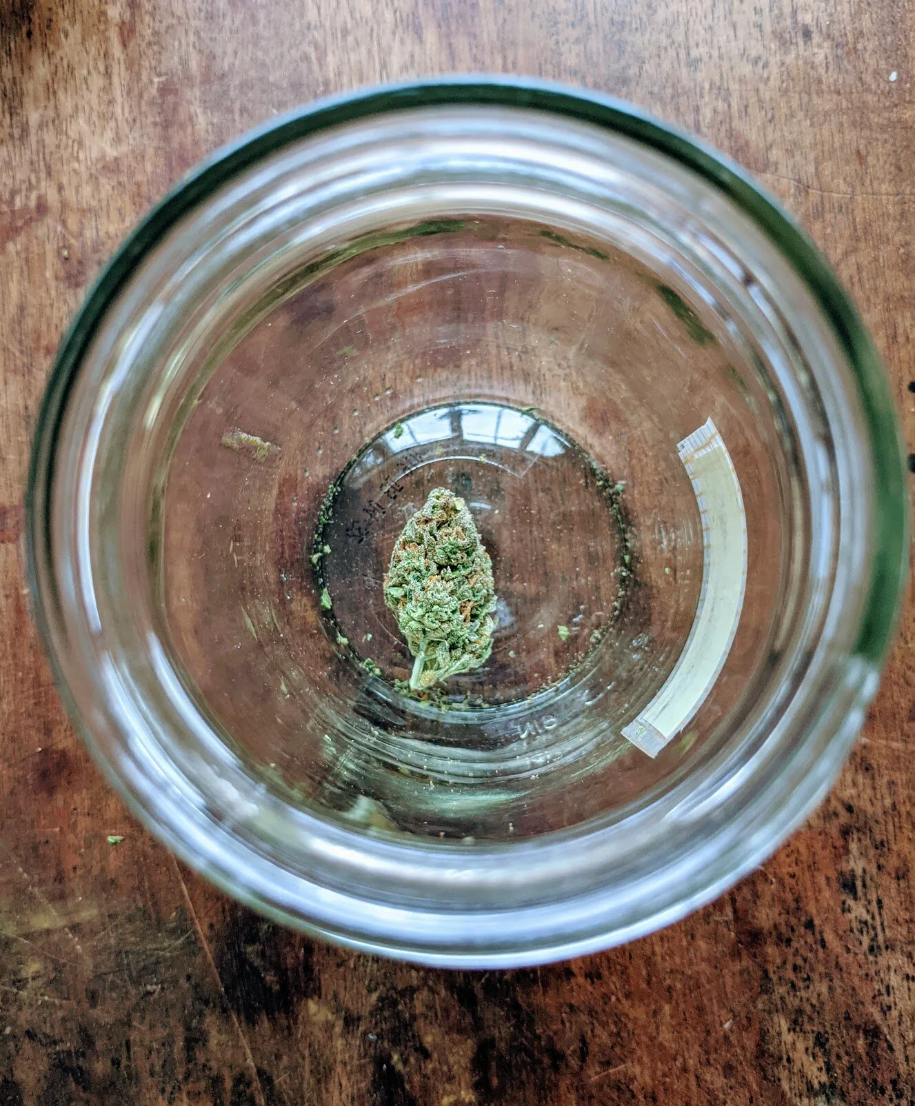This Too Shall Pass
